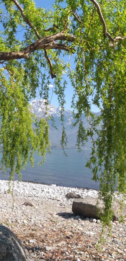 Casa Contadina Daire Vercana Dış mekan fotoğraf